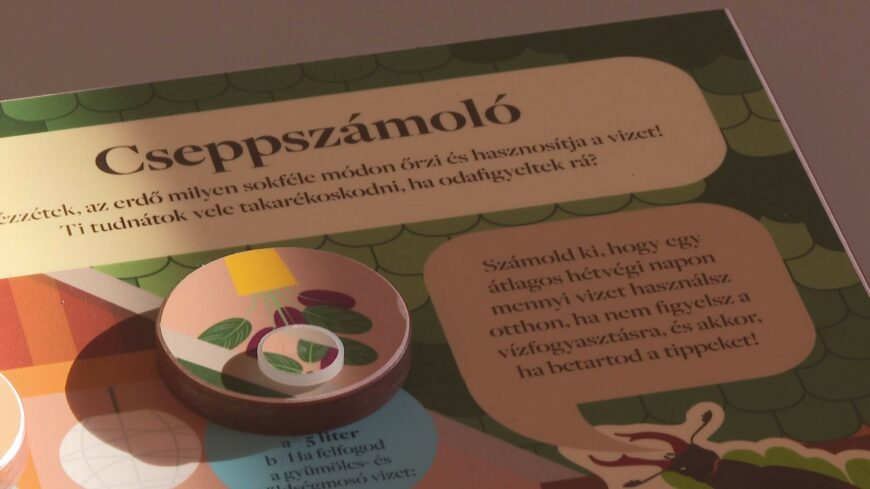 img_Elvittek_az_erdot_a_satoraljaujhelyi_Petofi_Sandor_Reformatus_altalanos_Iskolaba