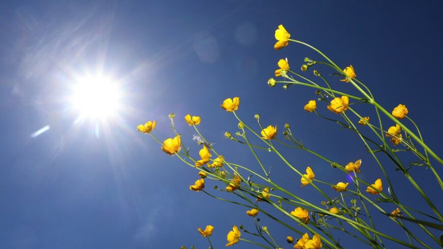 img_Megerkezett_a_tavasz__mostantol_hosszabbak_a_nappalok__mint_az_ejszakak