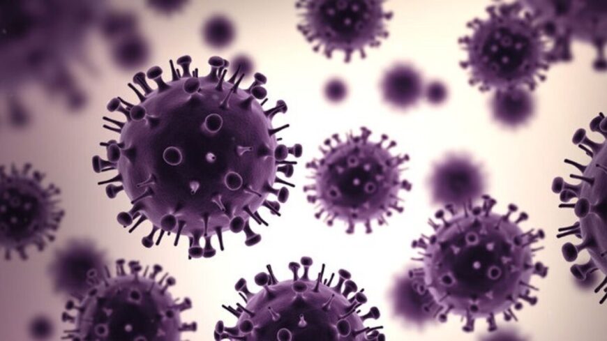 img_Miskolcon_kimutatasi_hatar_felett_az_influenza_A_virus_orokitoanyaganak_mennyisege