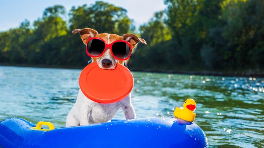 img_Iden_mar_21_kutyabarat_strand_es_furdetohely_varja_orszagszerte_a_kutyasokat