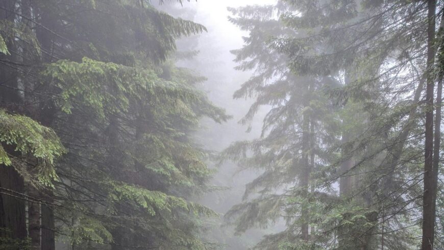 img_Hidegfront_miatt_csapadek_is_elofordulhat_ma