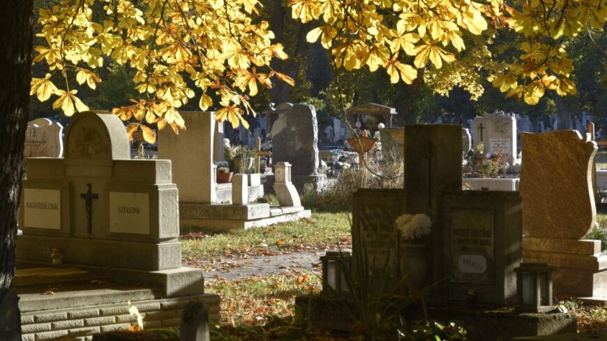 img_A_halal_es_a_temetkezes_az_egyik_legerosebb_tarsadalmi_tabu_Magyarorszagon