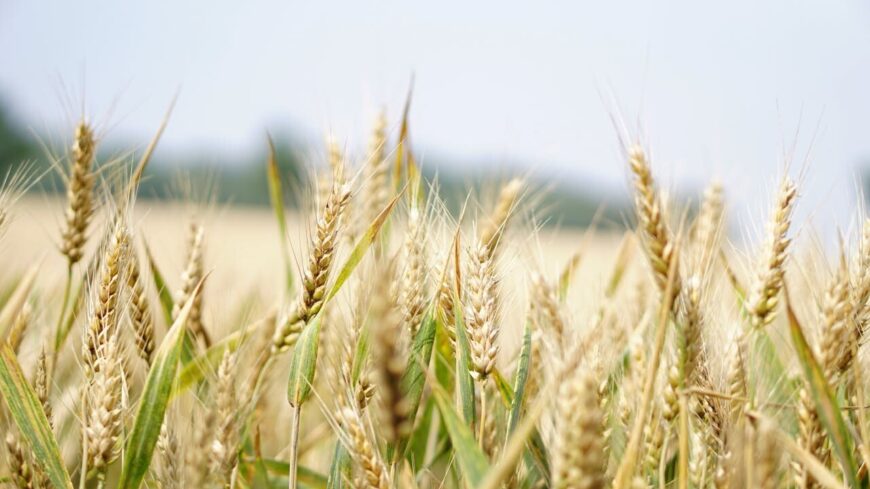 img_A_kormany_a_gazdak_versenykepessegenek_fenntartasaert_dolgozik