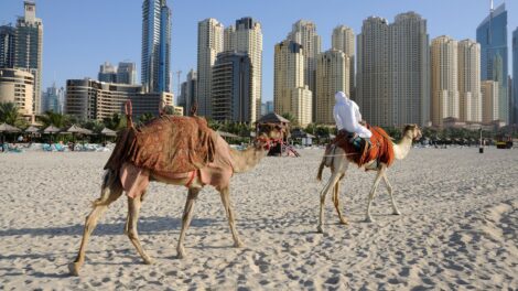 A sivatagi ország, amely homokot importál