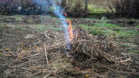 November 30-ig engedélyezett az avar és a növényi hulladék égetése Sátoraljaújhelyen