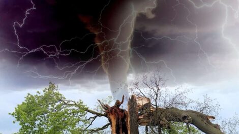 Tényleg kiszagolhatjuk a vihar közeledtét?