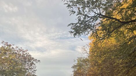 Zajlik a 37-es számú főút felújítása is vármegyénkben