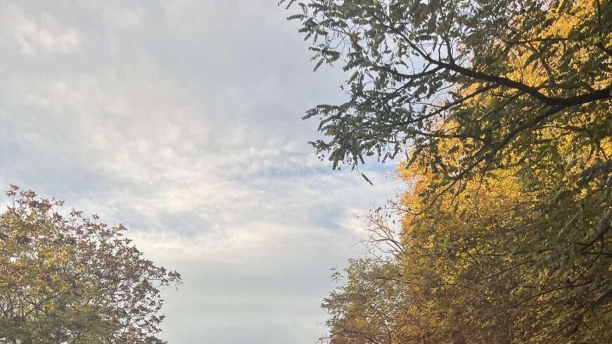 img_Zajlik_a_37-es_szamu_fout_felujitasa_is_varmegyenkben