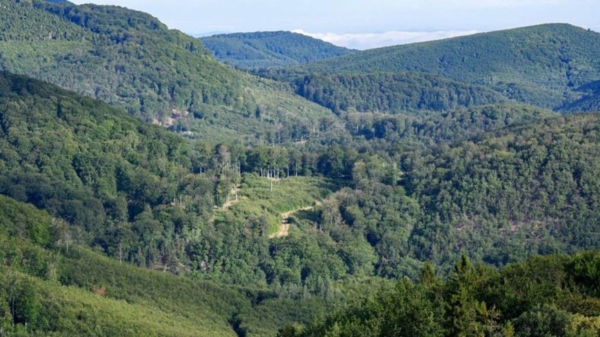 img_Csaladnevek__amelyek_multat_oriznek_Borsod-Abauj-Zemplenben