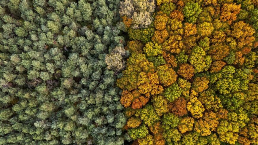 img_Erdokkel_a_klimavaltozas_ellen__elindult_az_orszagos_varosierdo-program