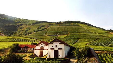 Ismét a világ élvonalába került két magyar borászat, ráadásul a tokaji borvidékről