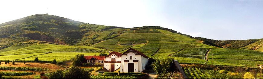 img_Ismet_a_vilag_elvonalaba_kerult_ket_magyar_boraszat__raadasul_a_tokaji_borvidekrol