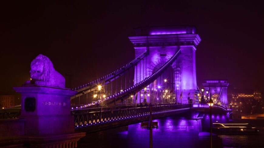 img_Lila_fenyek_a_koraszulottekert