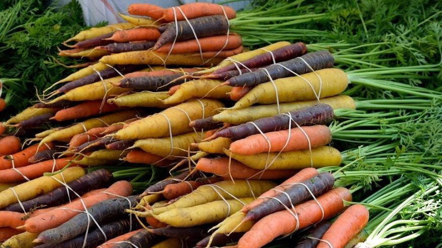 img_Miert_lett_narancssarga_a_valojaban_lila_sargarepa_