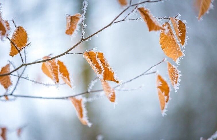 img_Napos_delutan__majd_hideg_ejszaka_varhato_kedden_Satoraljaujhelyen