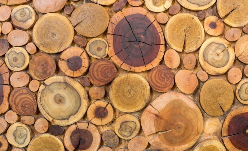 img_Oktoberben_74_kerelem_erkezett_a_szocialis_tuzifa_tamogatasra