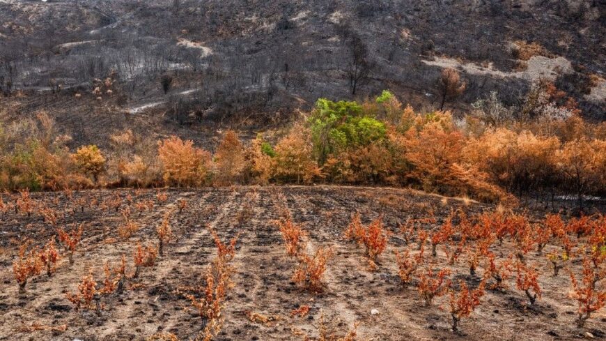 img_Tartos_aszaly_fenyeget__egy_ev_csapadekhianya_sujtja_az_orszagot