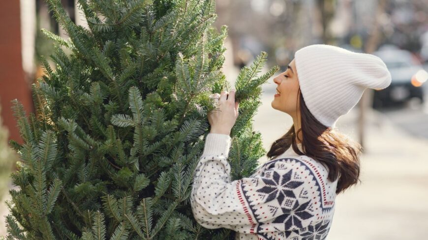 img_Boseges_a_karacsonyfa-kinalat_a_hazai_termeloknel