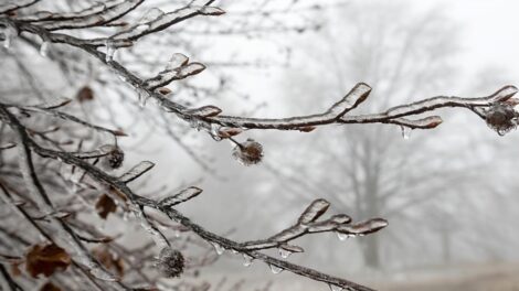 Fagyos, szeles idővel ér véget az év