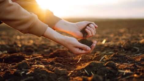 Folytatódik a talaj nedvességtöltődése az országban
