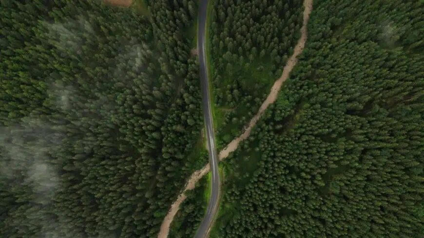 img_Ismeretlen_ferfi_holttestet_talaltak_meg_Tokaj_kulteruleten