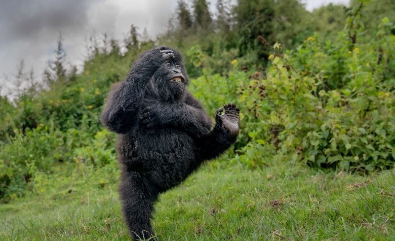 img_Kihirdettek_2025_legviccesebb_termeszetfotoit