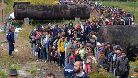 Nőtt a visszaküldött nem uniós állampolgárok száma az EU-ban