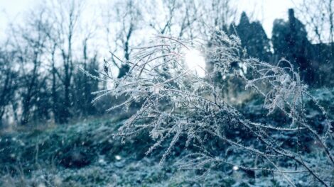 Szeles, havas fordulat Szilveszter napján: egész nap fagyos idő