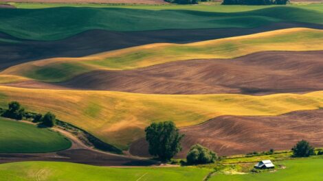 Törvénymódosítás változtat a termőföld-vásárlás szabályain