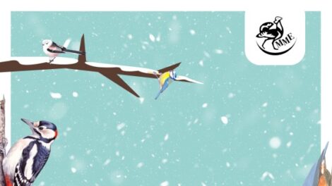 Zajlik a téli madárles