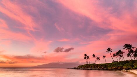A tiltott sziget, amely száz éve elérhetetlen a külvilág számára