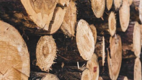 Ingyenes tüzelőanyag a kistelepüléseken