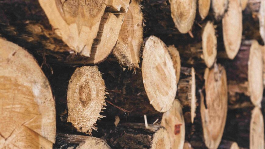 img_Ingyenes_tuzeloanyag_a_kistelepuleseken