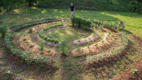 Még a sivatagban is zöldet teremtenek ezzel a módszerrel