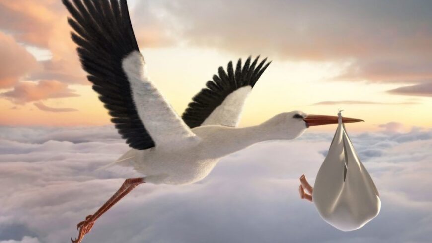 img_Miert_epp_a_golya_hozza_a_kisbabat_