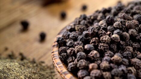 Miért tüsszentünk a borstól?