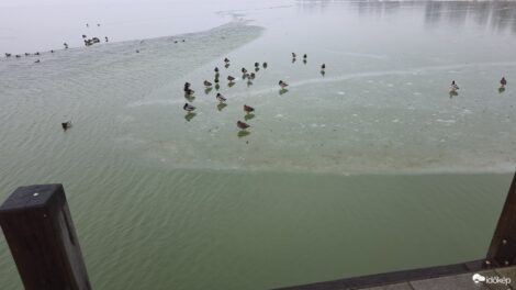 Tilos a Balaton jegére menni