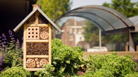Február végéig érdemes kihelyezni a beporzó rovarok védelmét segítő méhecskehoteleket
