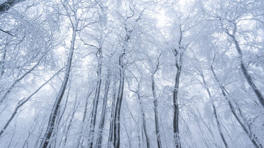 img_Gyorsan_veget_er_a_februari_tel