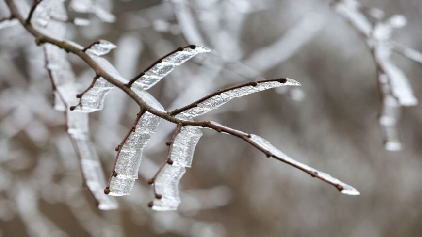 img_Magyarorszag_hidegrekordja__86_eve_minusz_35_Celsius-fok_Miskolctapolcan