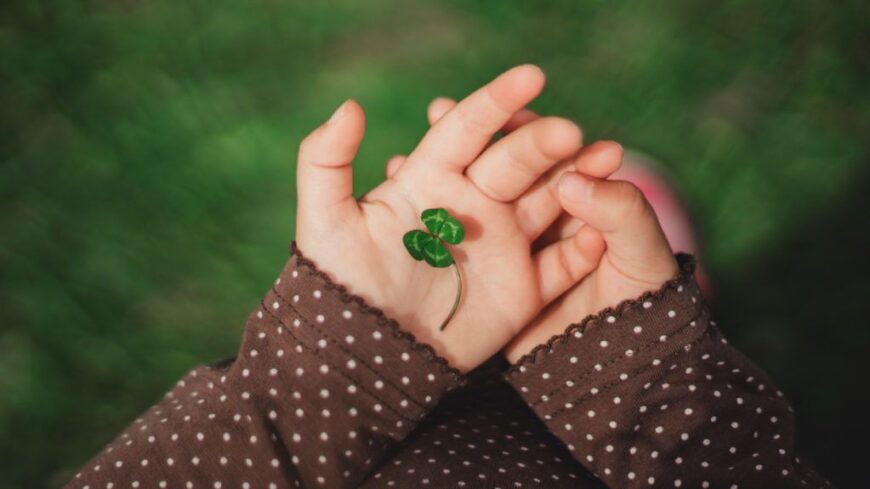 img_Miert_olyan_ritka_a_negylevelu_lohere_