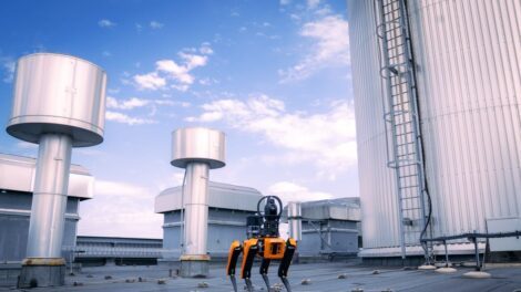 Robotkutyákat állított munkába a bécsi energiaszolgáltató