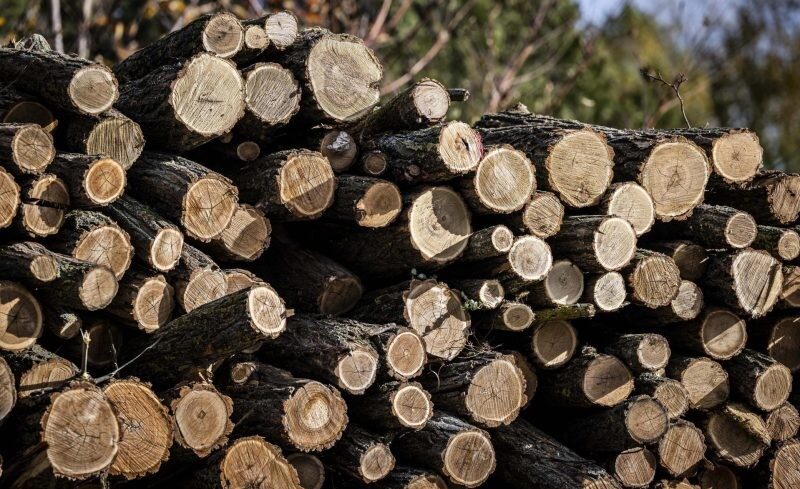 img_Tuzifa_tamogatas-meg_50_kobmeter_erkezik