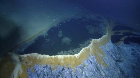 Van egy tó a Mexikói-öböl mélyén, ami mindent elpusztít, ami beleesik