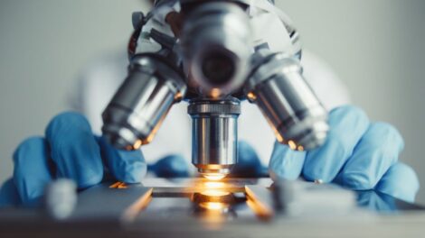 Újra pályázhatnak uniós forrásokra a magyar kutatók