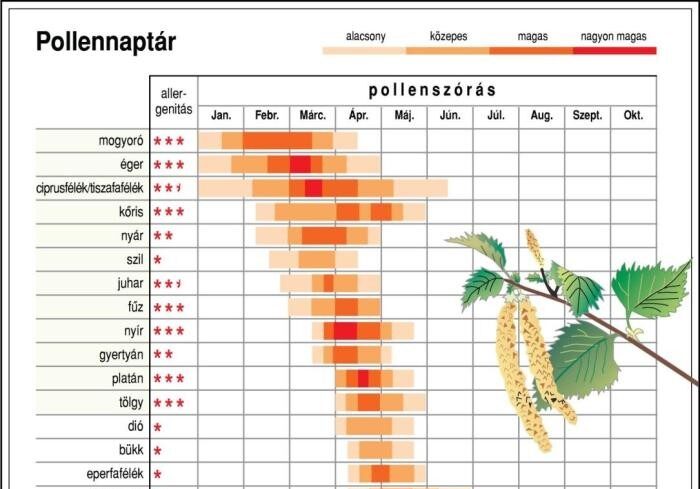 img_A_kezdodo_allergiaszezonban_egyre_tobben_keresnek_ra_a_tunetekre_a_Semmelweis_HELP_applikacioban