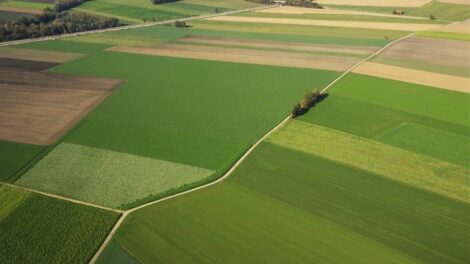 Csapadékra várnak az őszi vetések