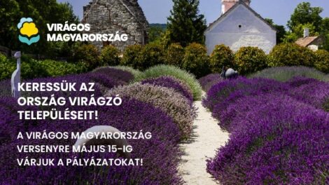 Elindult a jelentkezés a 33. Virágos Magyarország versenyre