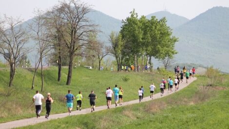 Már lehet nevezni a 2026-os Kossuth Staféta futóversenyre