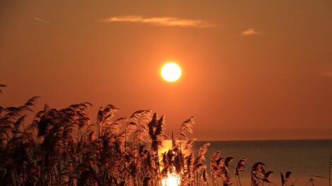 Pénteken beköszönt a csillagászati tavasz